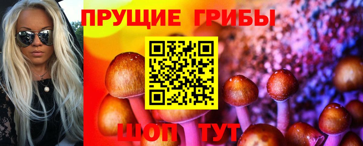 Галлюциногенные грибы Magic Shrooms  Вход с VPN  Галлюциногенные грибы MAGIC MUSHROOMS  Новошахтинск 